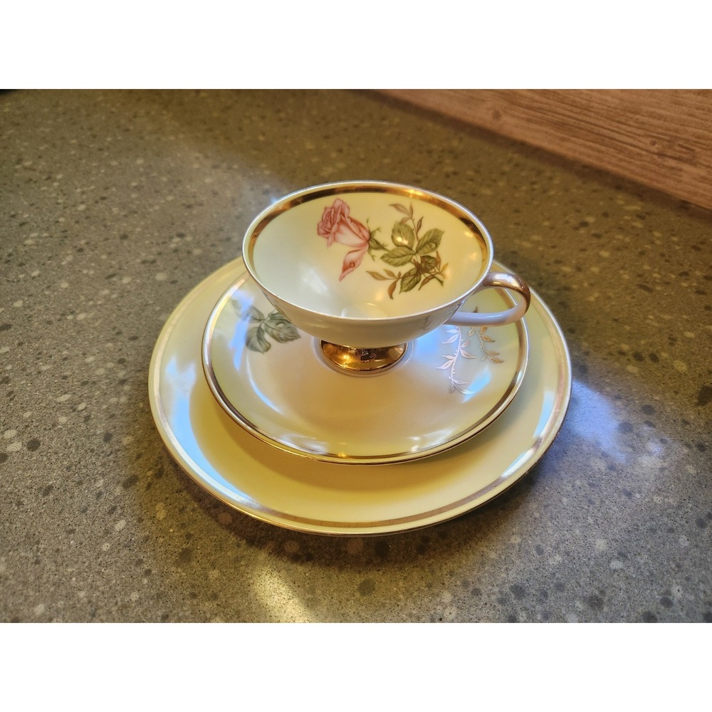 VTG Wundsiedel Bavaria Teacup Saucer Dessert Plate Set Gold Rim Floral Motif - Picture 1 of 8